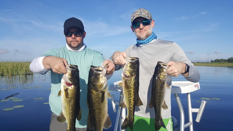 Four largemouth bass caught fishing in Florida